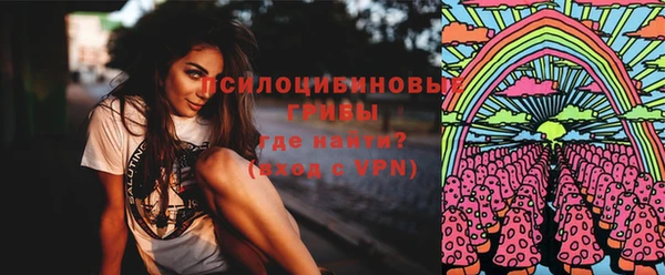 СК Навашино