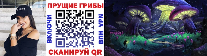 omg как зайти Черногорск Псилоцибиновые грибы прущие грибы
