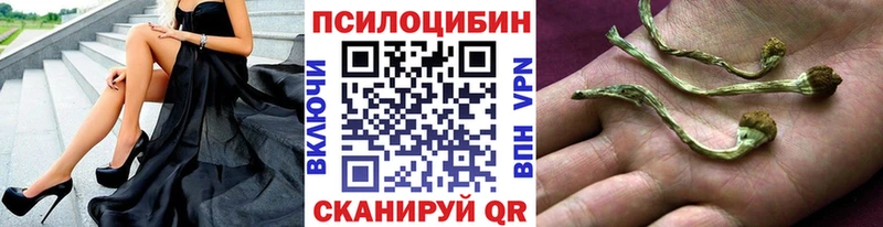 Псилоцибиновые грибы Cubensis Черногорск